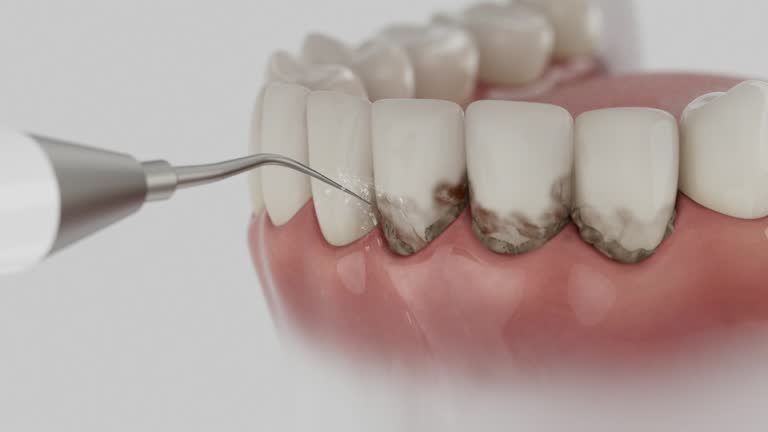 Reliable Dental contractor in Burke Centre, VA by Dentist Open Now
